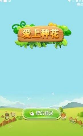 我爱种花花游戏红包版app游戏截图