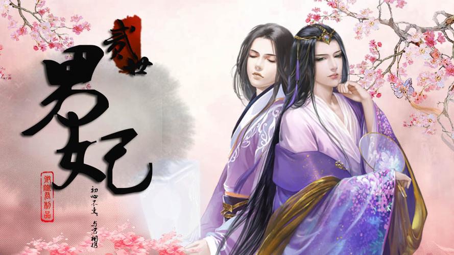 二世男妃_sign游戏截图