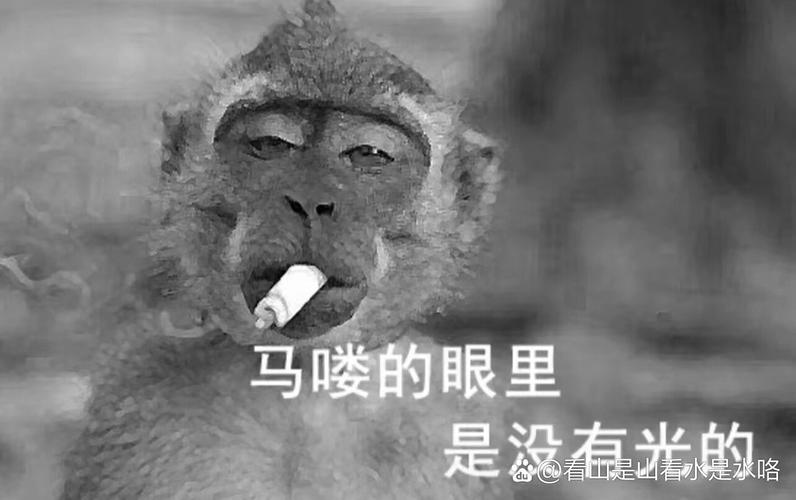 吗喽是什么意思 网络用语吗喽的意思游戏截图