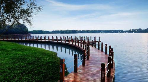 周末趣味视频(36):以后OOXX你敢不带套?游戏截图