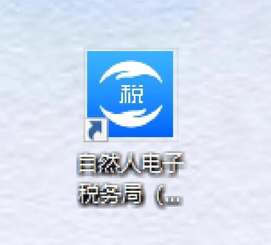 自然人电子税务游戏截图