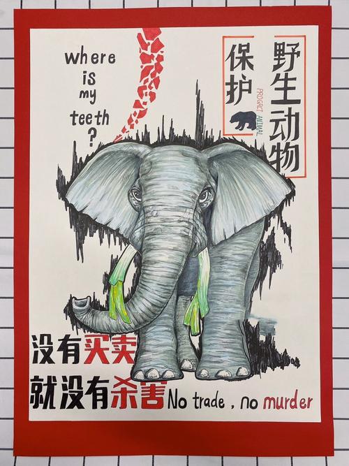 保护动物海报游戏截图