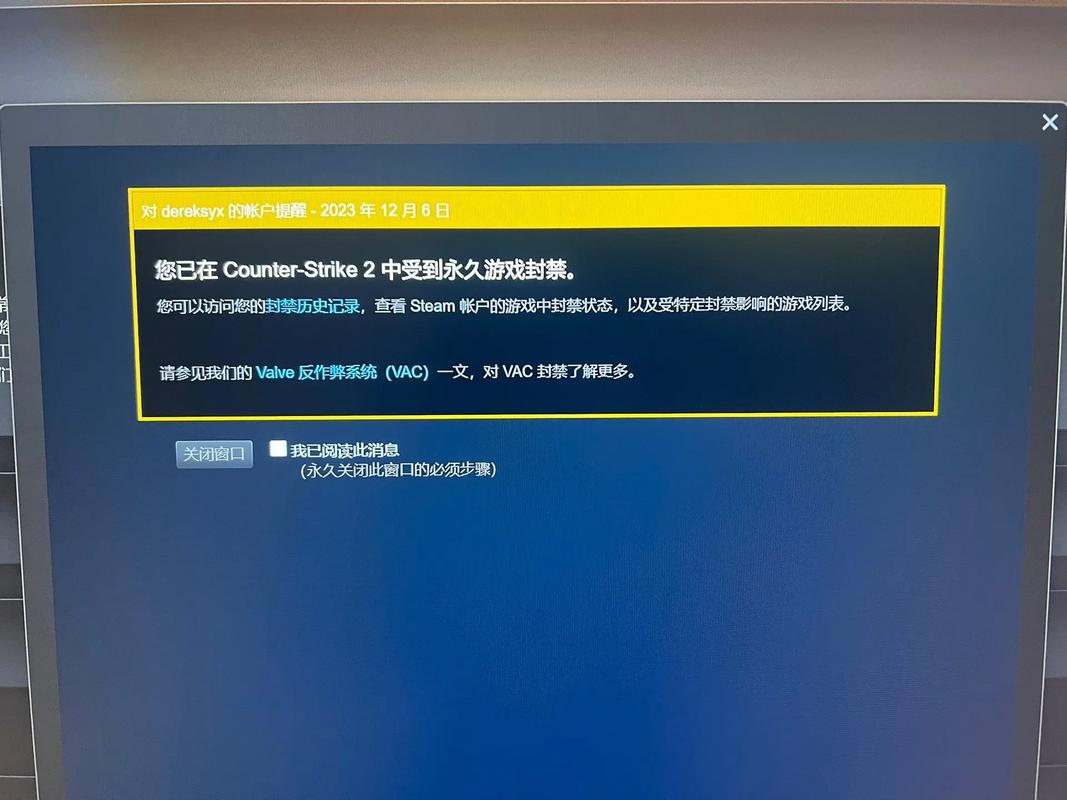 《CSGO》VAC是什么意思VAC意思介绍游戏截图