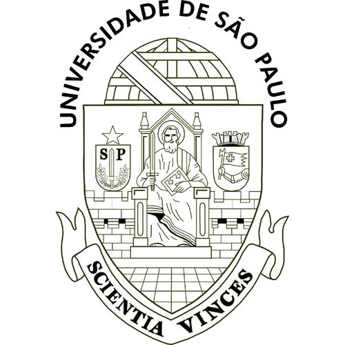 巴西圣保罗游戏截图