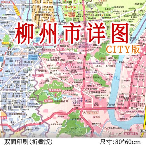 柳州交通地图游戏截图