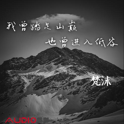 【硬核人物志】我曾踏足山巅也曾进入低谷游戏截图