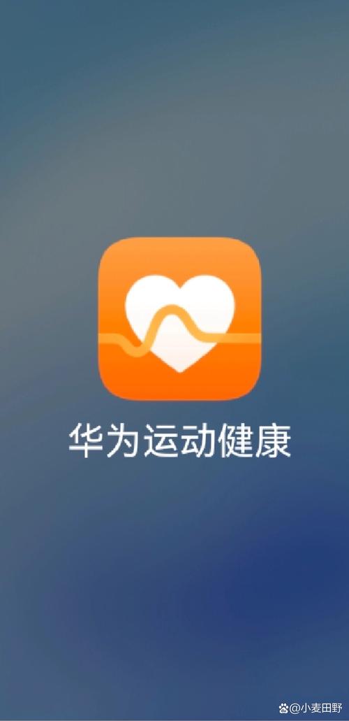 华为运动健康手表APP游戏截图