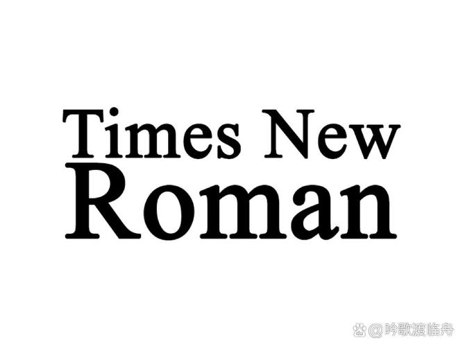 timesnewroman游戏截图
