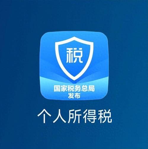 个人所得税app游戏截图