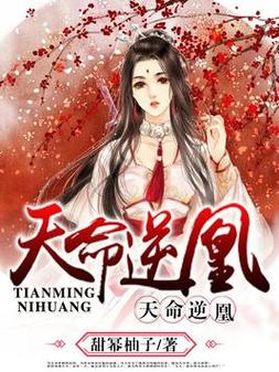 天命逆凰游戏截图