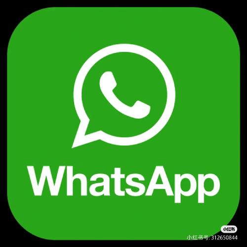 Whatsapp社交安卓版APP安装游戏截图