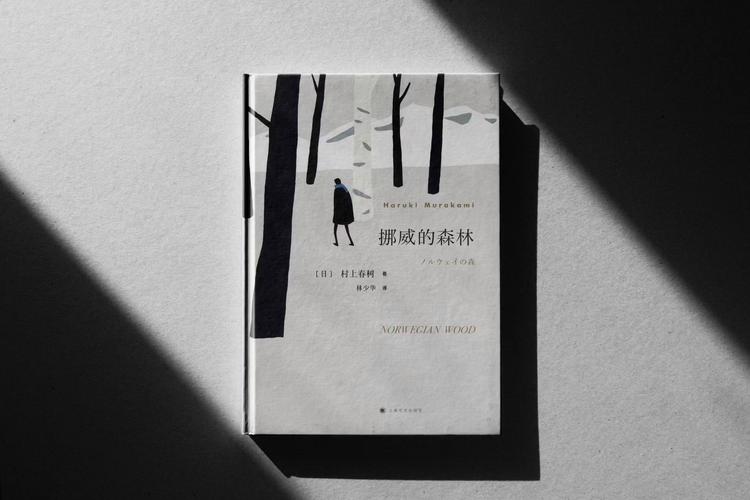 村上春树挪威的森林游戏截图