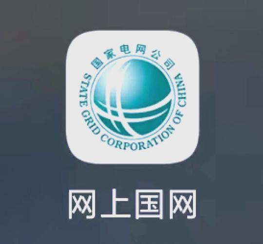 网上国网app官方安装游戏截图