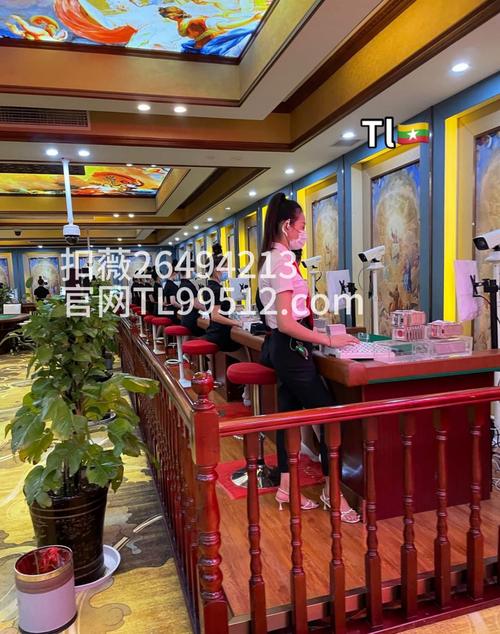 龙腾影院游戏截图