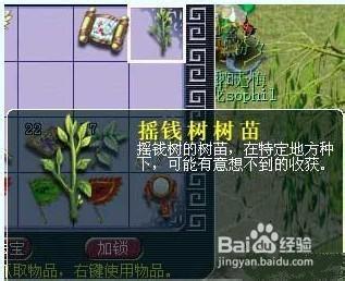 梦幻西游摇钱树苗游戏截图