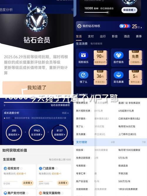 支付宝会员权益有什么用支付宝会员等级怎么提升游戏截图