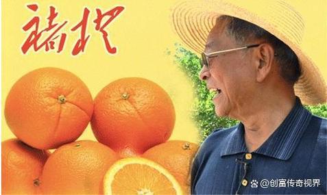 橙味人生:褚时健传奇游戏截图