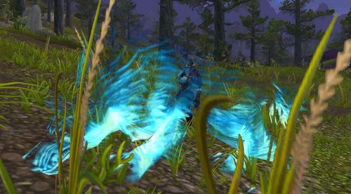 怎么追踪魔兽世界卡洛玛图标